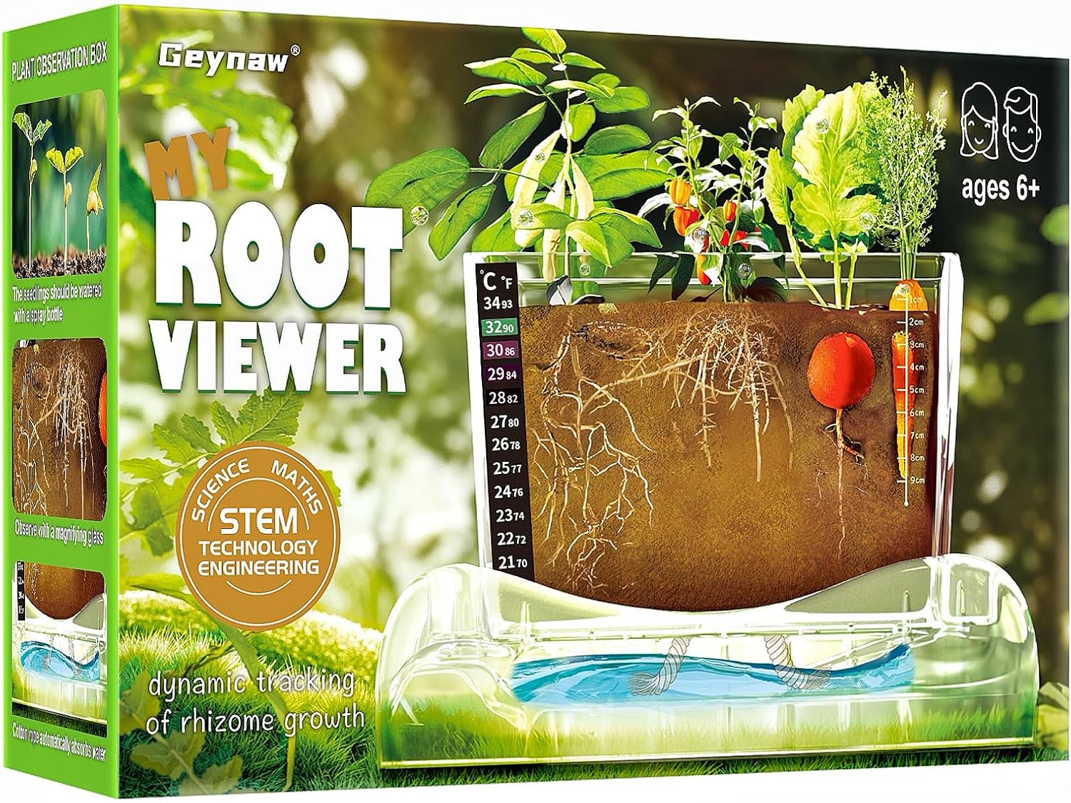 Veggie Garden