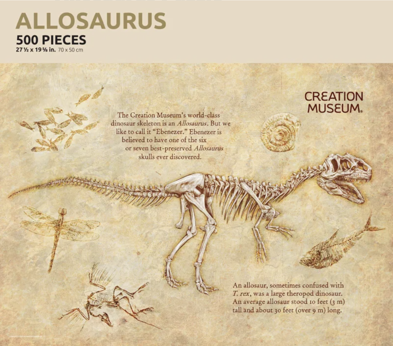 AiG Allosaurus Puzzle
