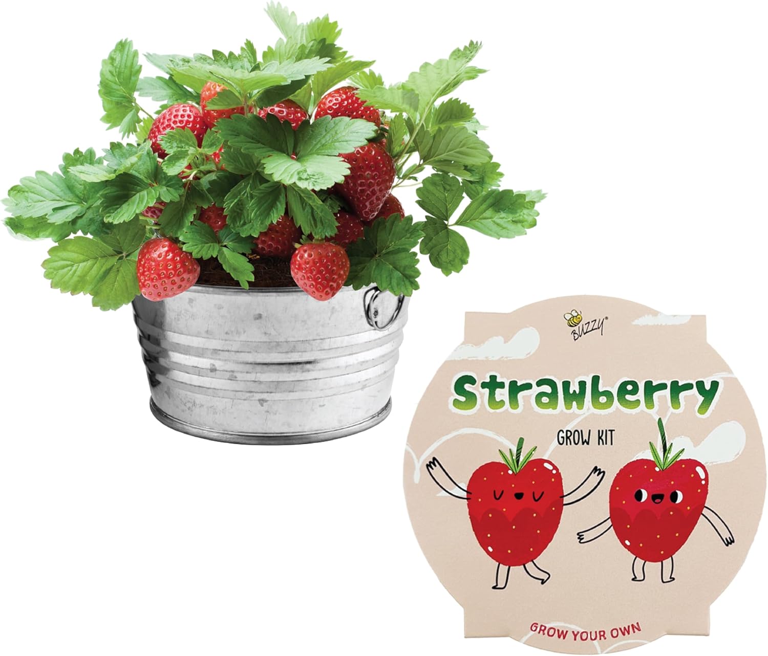 Strawberry Garden